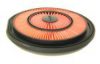 SUZUK 1378070B00 Air Filter